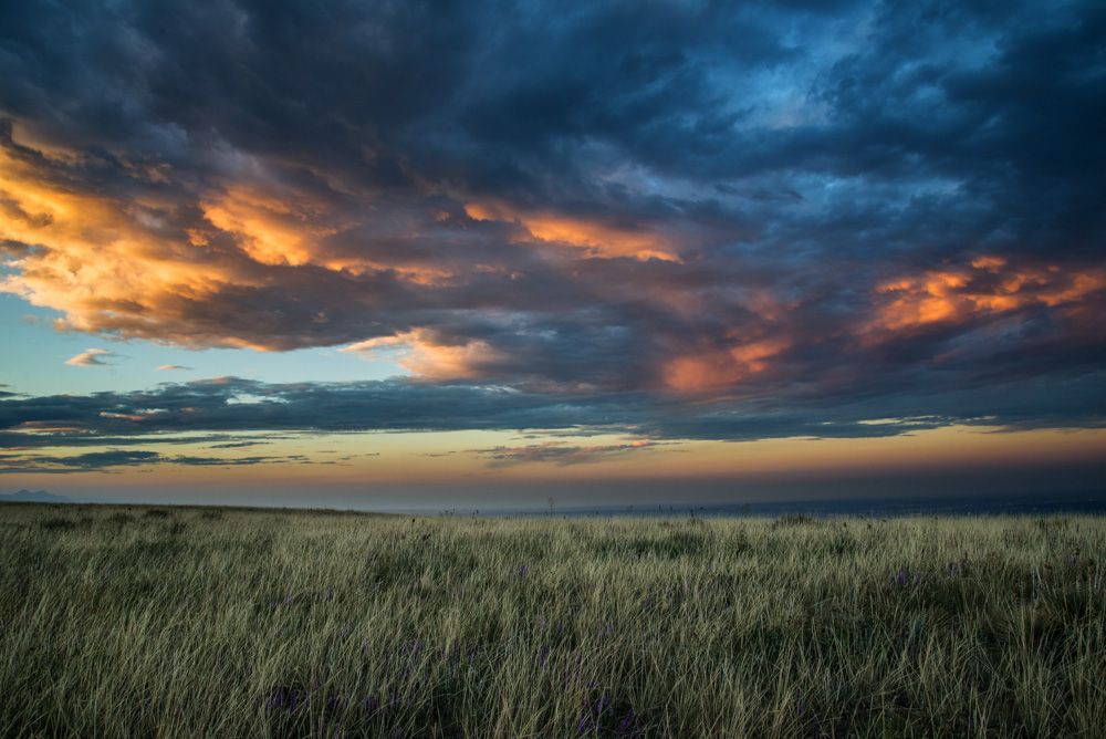 IMAGE: http://img.photobucket.com/albums/v129/soybomb/DSC_4289-Edit.jpg