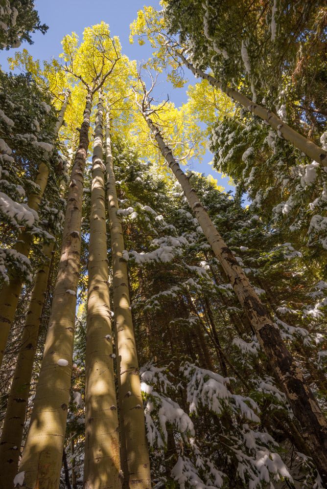 IMAGE: http://img.photobucket.com/albums/v129/soybomb/DSC_4722-Edit_FULLRES.jpg