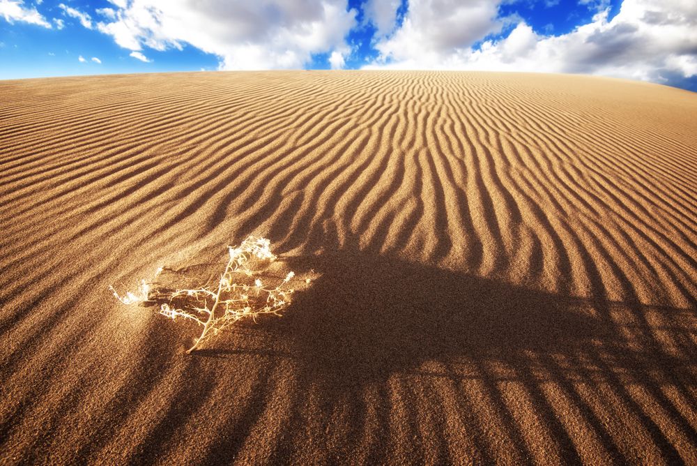 IMAGE: http://img.photobucket.com/albums/v129/soybomb/DSC_5020-Edit-4-Edit-Edit-Edit_FULLRES.jpg