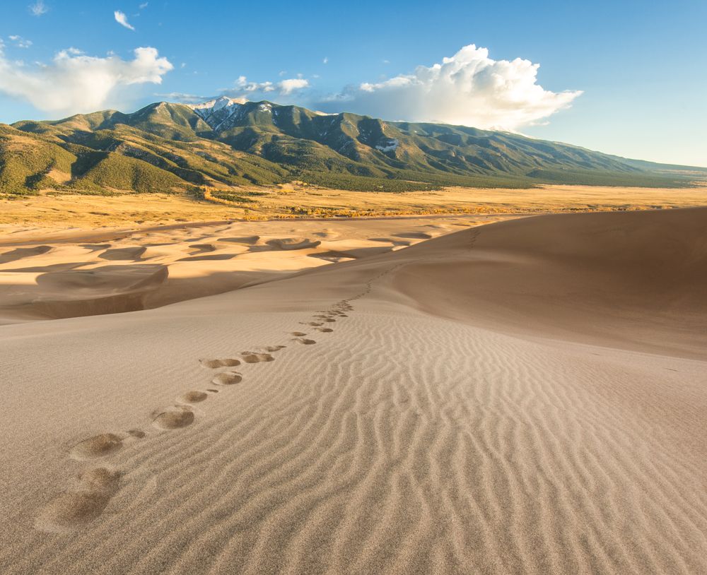 IMAGE: http://img.photobucket.com/albums/v129/soybomb/DSC_5039_re-Edit_FULLRES.jpg