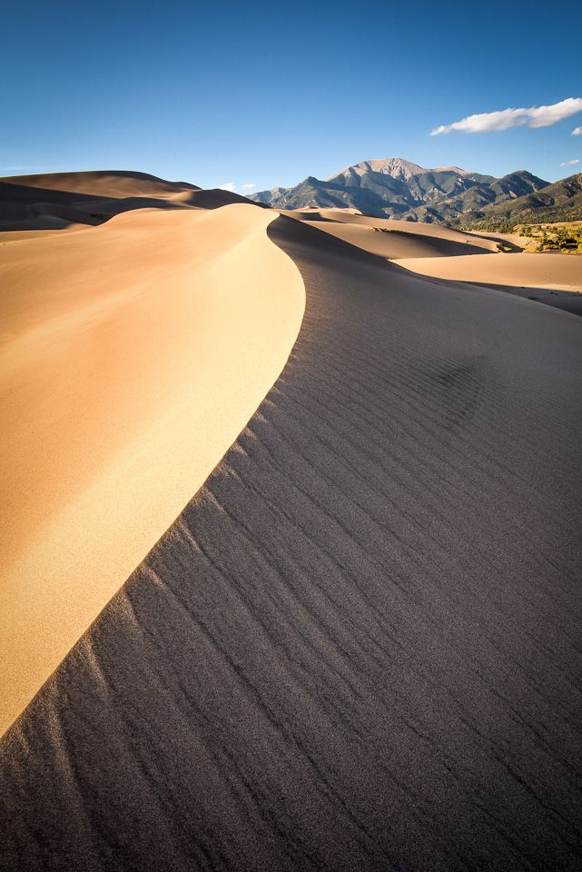 IMAGE: http://img.photobucket.com/albums/v129/soybomb/DSC_6246-Edit.jpg