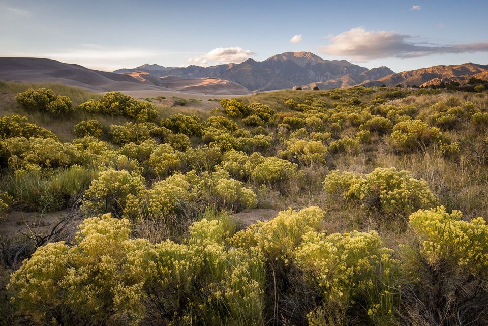 IMAGE: http://img.photobucket.com/albums/v129/soybomb/DSC_6288-Edit.jpg