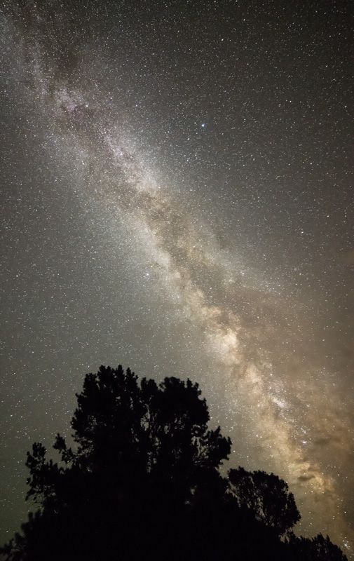 IMAGE: http://img.photobucket.com/albums/v129/soybomb/DSC_6291-Edit.jpg