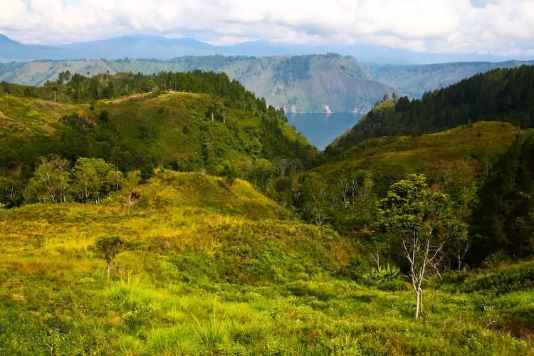 IMAGE: http://img.photobucket.com/albums/v129/soybomb/IMG_0301-1.jpg