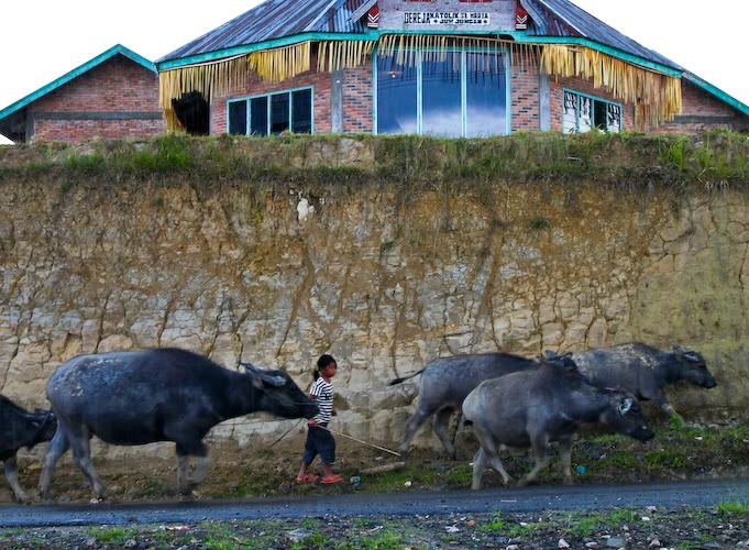 IMAGE: http://img.photobucket.com/albums/v129/soybomb/IMG_0321.jpg