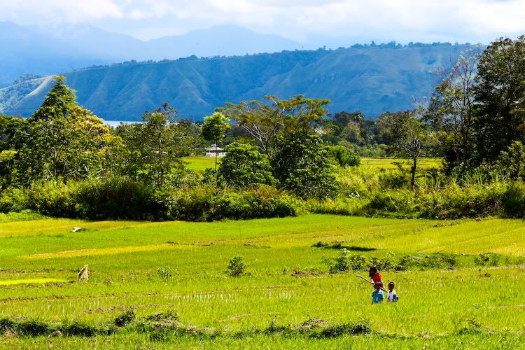 IMAGE: http://img.photobucket.com/albums/v129/soybomb/IMG_0391.jpg