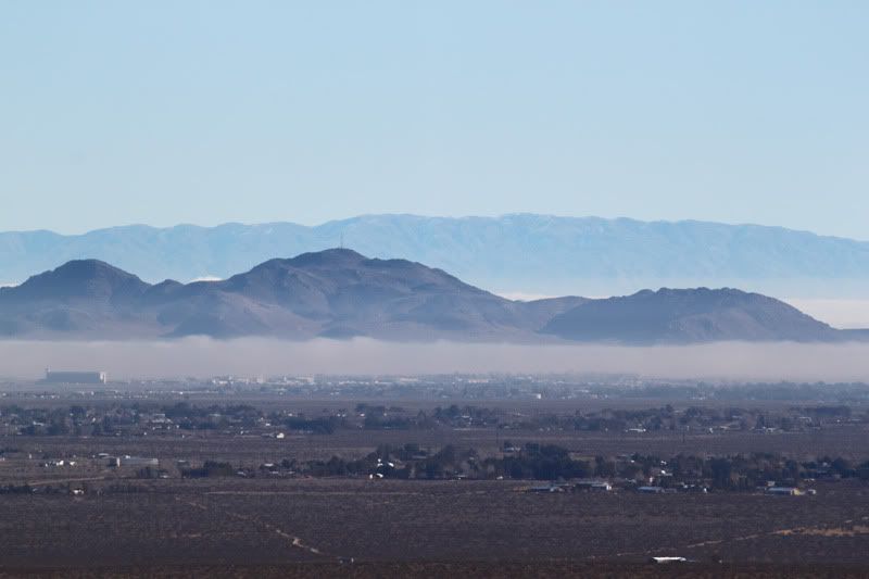 IMAGE: http://img.photobucket.com/albums/v129/soybomb/IMG_2525small.jpg