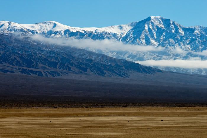 IMAGE: http://img.photobucket.com/albums/v129/soybomb/IMG_2556.jpg