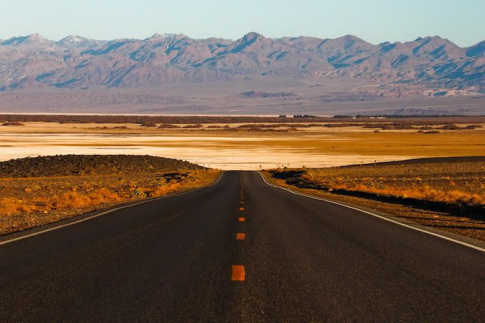 IMAGE: http://img.photobucket.com/albums/v129/soybomb/IMG_2676-1.jpg