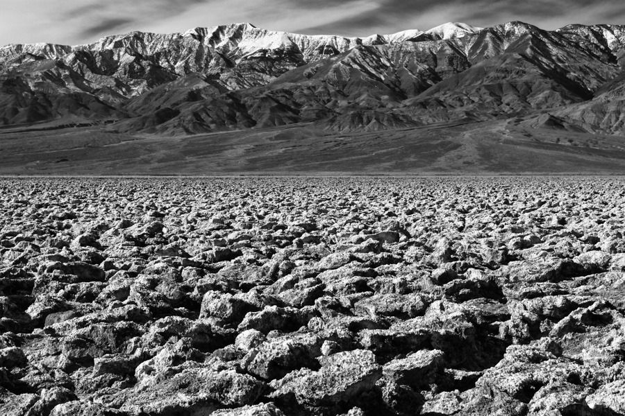 IMAGE: http://img.photobucket.com/albums/v129/soybomb/IMG_2718-2.jpg