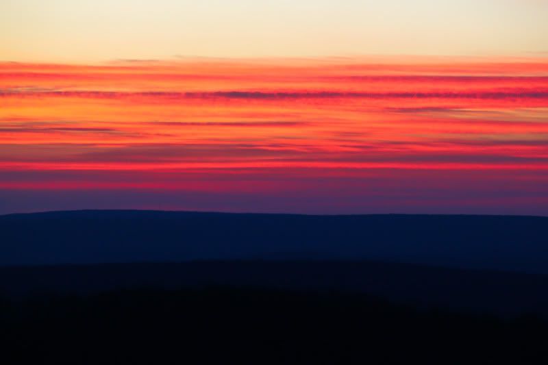 IMAGE: http://img.photobucket.com/albums/v129/soybomb/IMG_3897.jpg