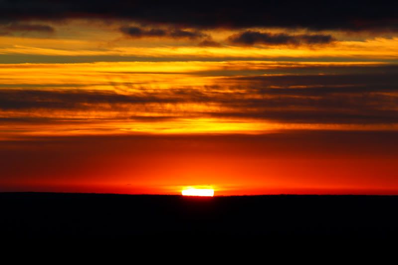 IMAGE: http://img.photobucket.com/albums/v129/soybomb/IMG_3925.jpg