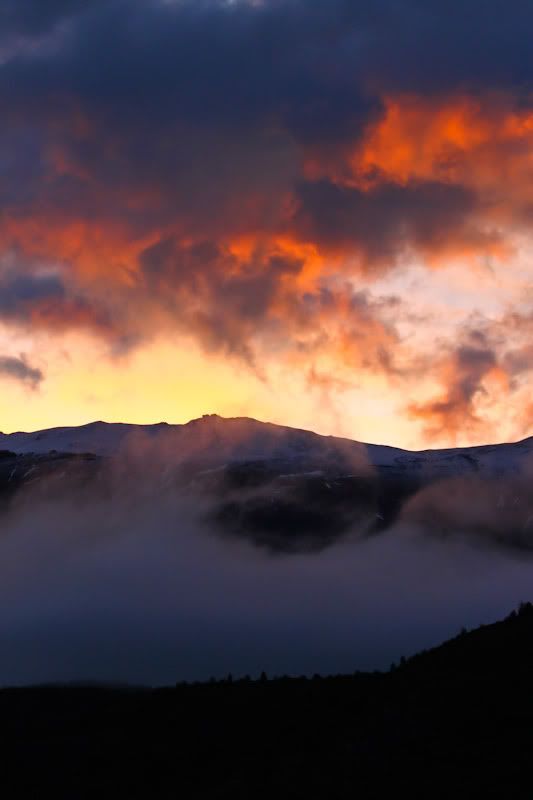 IMAGE: http://img.photobucket.com/albums/v129/soybomb/IMG_4206.jpg