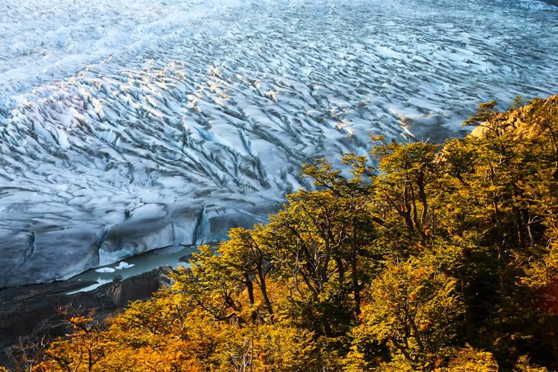 IMAGE: http://img.photobucket.com/albums/v129/soybomb/IMG_4383.jpg