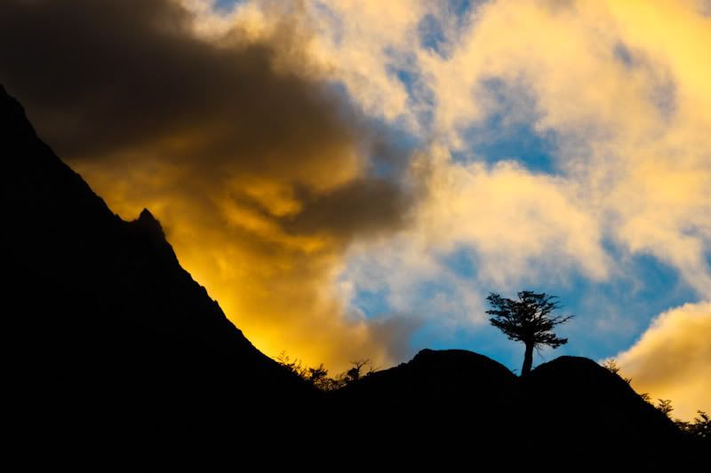 IMAGE: http://img.photobucket.com/albums/v129/soybomb/IMG_4556.jpg