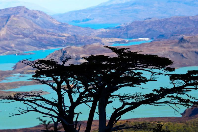 IMAGE: http://img.photobucket.com/albums/v129/soybomb/IMG_4569.jpg