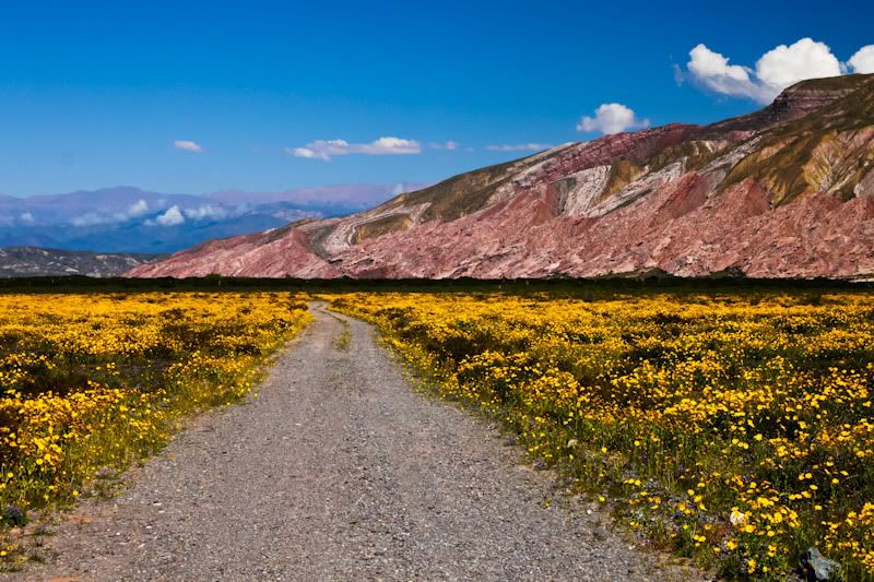 IMAGE: http://img.photobucket.com/albums/v129/soybomb/IMG_4897.jpg