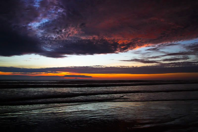 IMAGE: http://img.photobucket.com/albums/v129/soybomb/IMG_5292-2.jpg