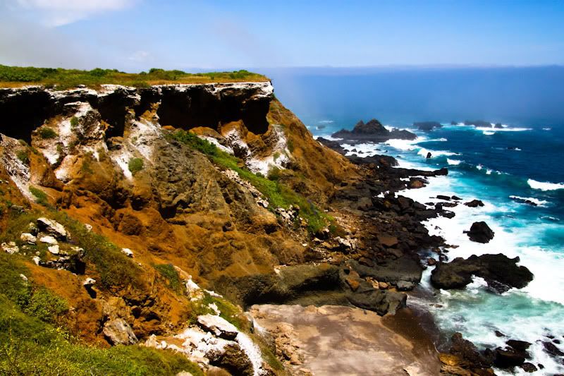 IMAGE: http://img.photobucket.com/albums/v129/soybomb/IMG_5349-2.jpg