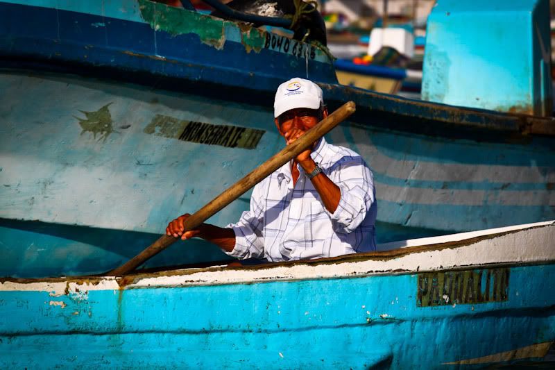 IMAGE: http://img.photobucket.com/albums/v129/soybomb/IMG_5532-2.jpg