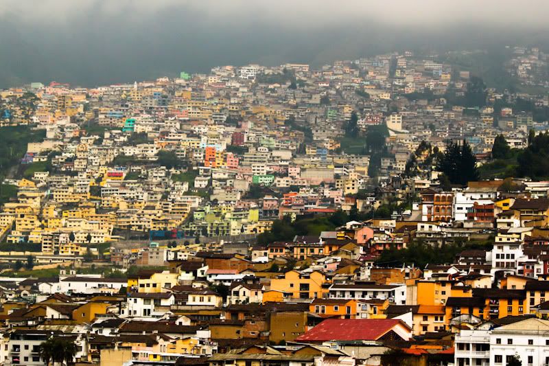 IMAGE: http://img.photobucket.com/albums/v129/soybomb/IMG_5553-2.jpg