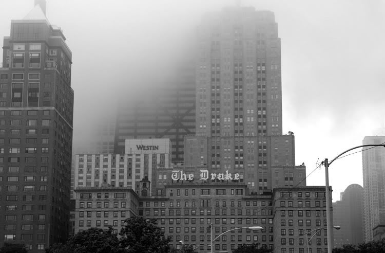 IMAGE: http://img.photobucket.com/albums/v129/soybomb/IMG_8229edit.jpg