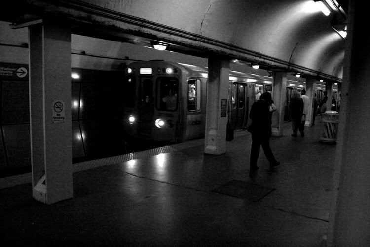 IMAGE: http://img.photobucket.com/albums/v129/soybomb/IMG_8384edit.jpg