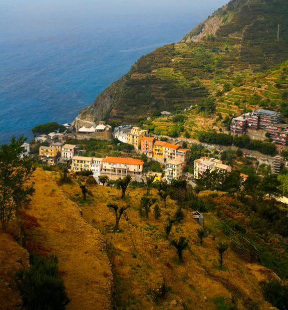 IMAGE: http://img.photobucket.com/albums/v129/soybomb/IMG_8562-2.jpg