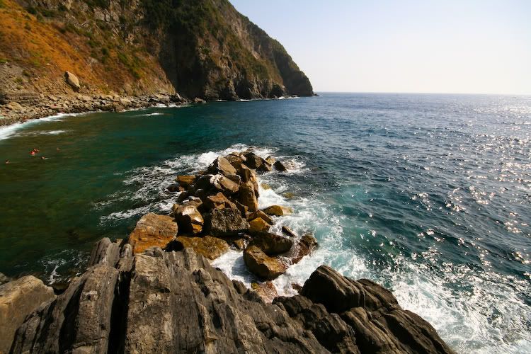 IMAGE: http://img.photobucket.com/albums/v129/soybomb/IMG_8618.jpg