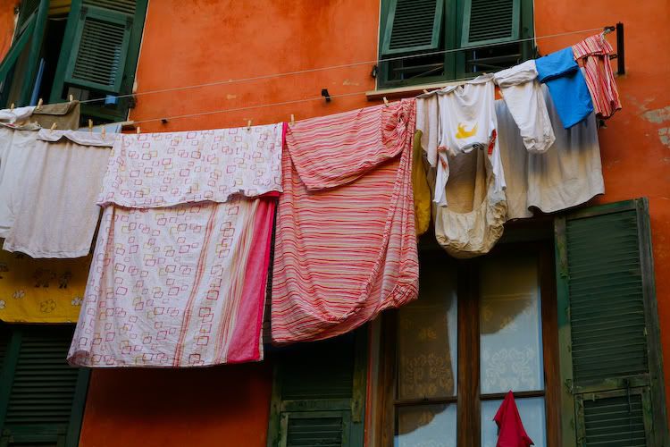 IMAGE: http://img.photobucket.com/albums/v129/soybomb/IMG_8657.jpg