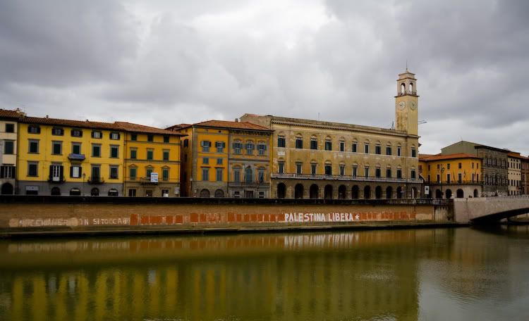 IMAGE: http://img.photobucket.com/albums/v129/soybomb/IMG_8781.jpg