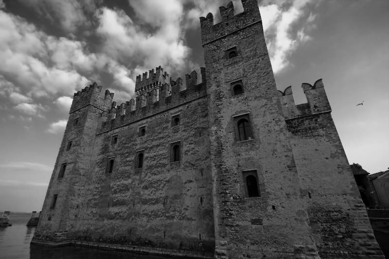 IMAGE: http://img.photobucket.com/albums/v129/soybomb/IMG_8971.jpg