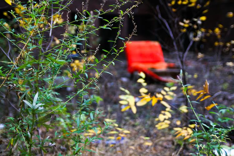 IMAGE: http://img.photobucket.com/albums/v129/soybomb/IMG_9598.jpg