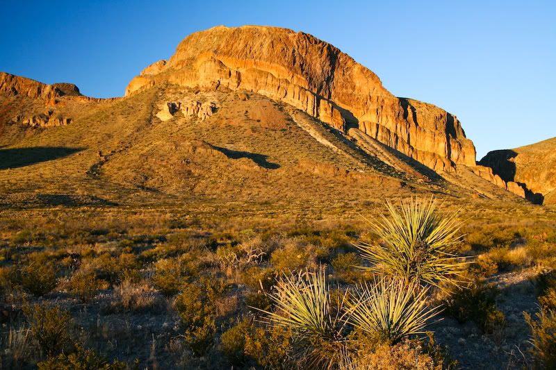 IMAGE: http://img.photobucket.com/albums/v129/soybomb/IMG_9817.jpg