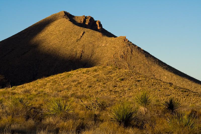 IMAGE: http://img.photobucket.com/albums/v129/soybomb/IMG_9952.jpg