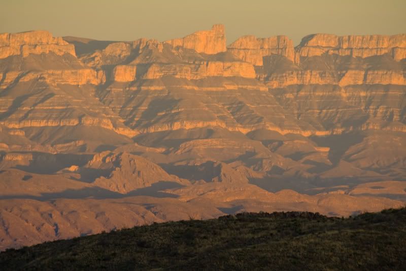 IMAGE: http://img.photobucket.com/albums/v129/soybomb/IMG_9965.jpg