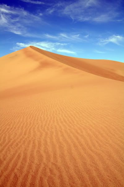 IMAGE: http://img.photobucket.com/albums/v129/soybomb/RoadTrip2007111.jpg