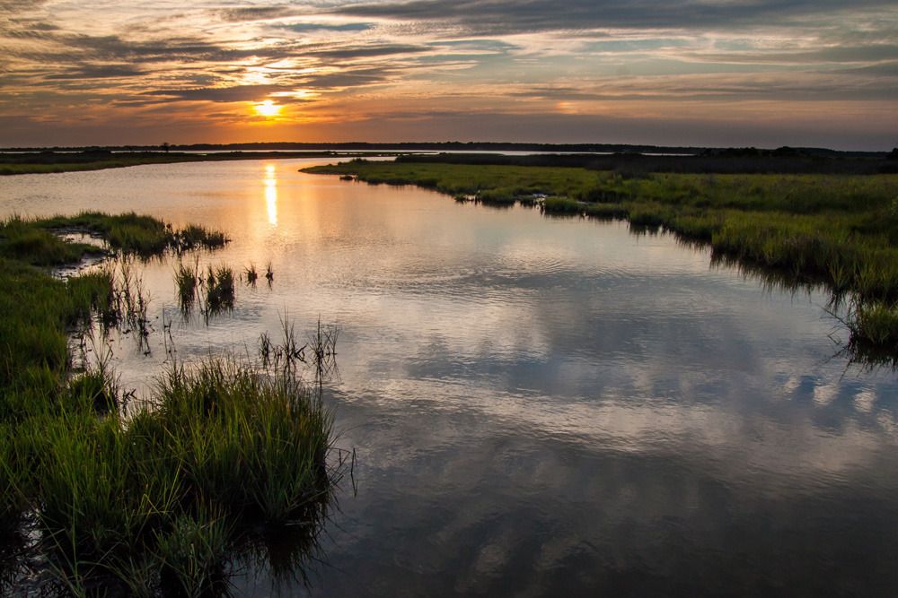 IMAGE: http://img.photobucket.com/albums/v129/soybomb/assateague_island_zpsd2d1c33d.jpg