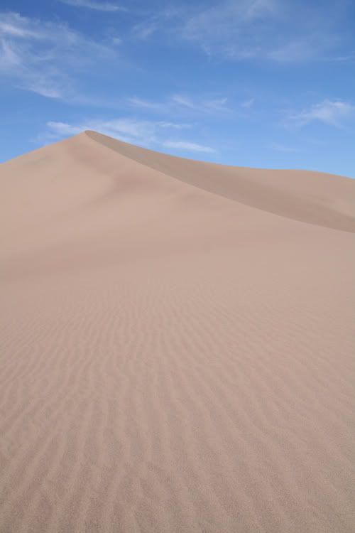 dunebefore.jpg