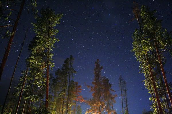 IMAGE: http://img.photobucket.com/albums/v129/soybomb/night1.jpg