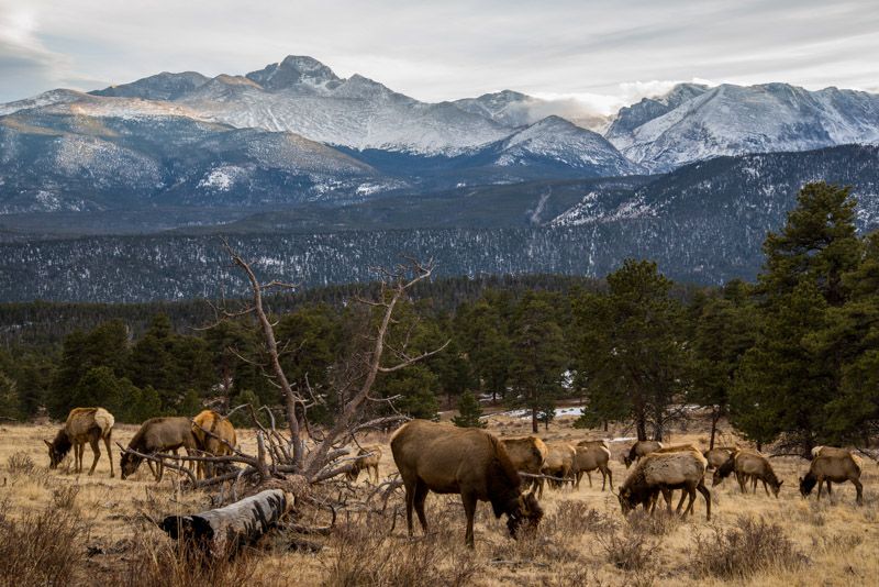 IMAGE: http://img.photobucket.com/albums/v129/soybomb/rmnp_3.jpg