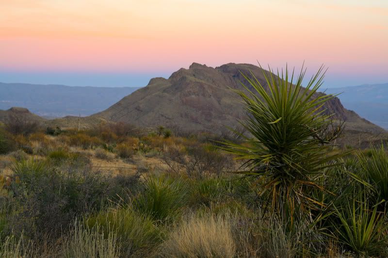 IMAGE: http://img.photobucket.com/albums/v129/soybomb/zIMG_0077.jpg