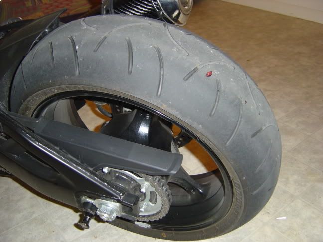 [Image: DSC01141.jpg]