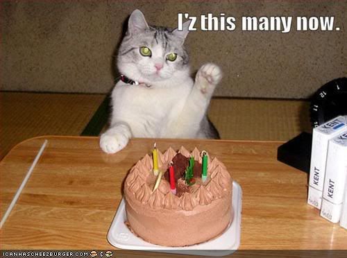 happy birthday cat funny. happy birthday funny pictures.