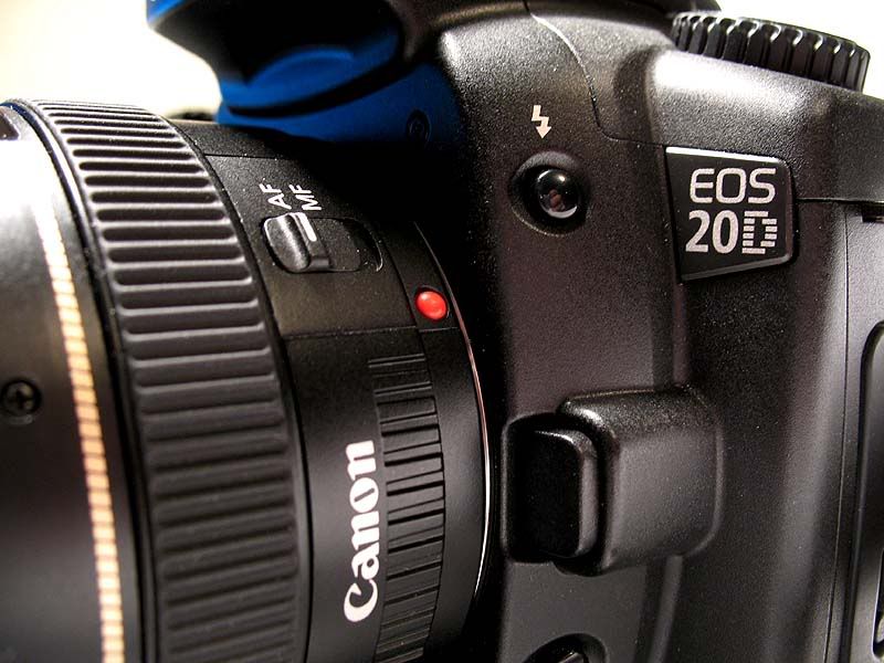 IMAGE: http://img.photobucket.com/albums/v130/GaryWGraley/Canon%20A620/eos20D.jpg