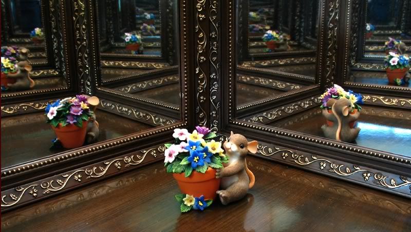 IMAGE: http://img.photobucket.com/albums/v130/GaryWGraley/Canon%20A620/mouse_reflects.jpg