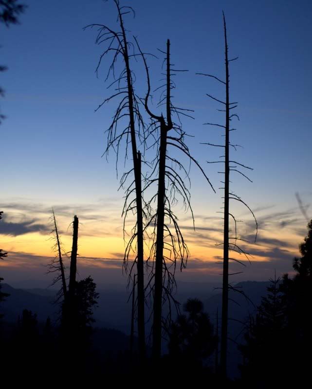 IMAGE: http://img.photobucket.com/albums/v130/GaryWGraley/EOS%2020D/Yosemite/sunset.jpg