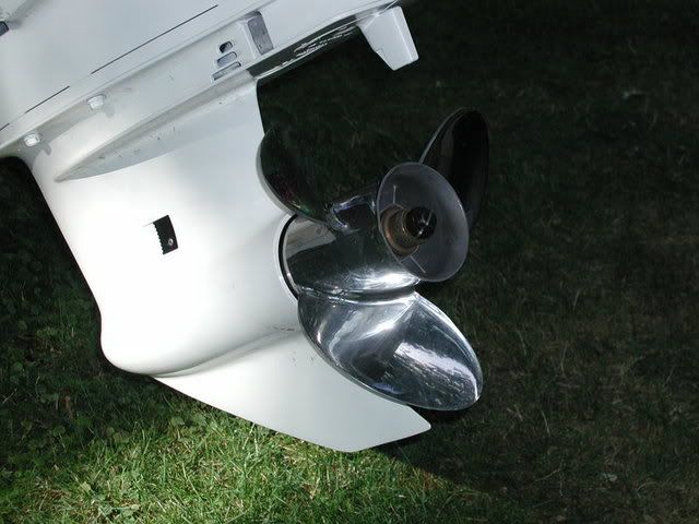 P1010003-2.jpg