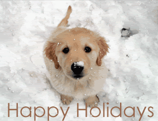 Christmas-HappyHolidaysPuppy-1.gif