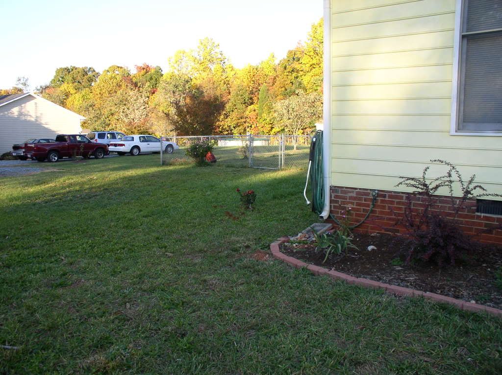 thorax eve online. thorax eve, navman f,